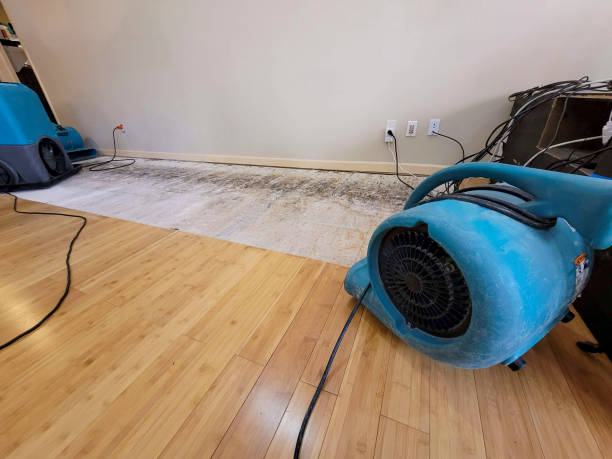 Reliable Burst Pipe Cleanup contractor in Newton, KS by San Diego Water Damage Company