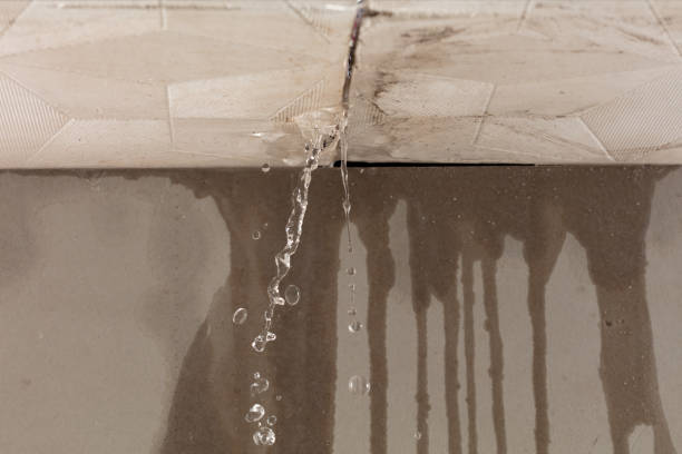 Professional Burst Pipe Cleanup technician working in Newton, KS